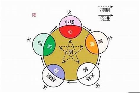 辛丑五行|辛丑年五行属性 辛丑年出生的人是什么命